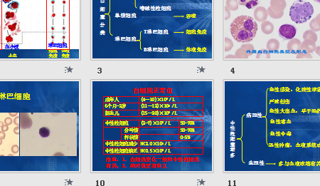 实验诊断白细胞和分类学习电子文档ppt