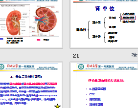 肾上腺显像学习资料电子文档ppt