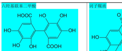 执业药师《中药学专业知识一》有机酸和鞣质化合物化学结构图pdf电子文档