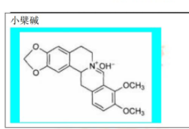 执业药师《中药学专业知识一》生物碱化学结构图pdf文档下载