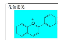 执业药师《中药一》黄酮类化合物化学结构图pdf下载