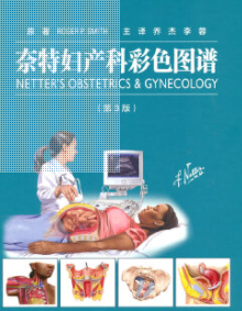 奈特妇产科英文版Netter’s Obstetrics and Gynecology电子版pdf下载