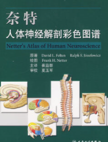 奈特人体神经解剖彩色图谱 ((美)David L. Felten，Ralph F. Jozefowicz原著)pdf电子版